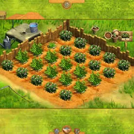 Kapi Fari Screenshot 4
