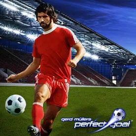 Perfect Goal