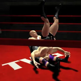 The Wrestling Game Screenshot 2